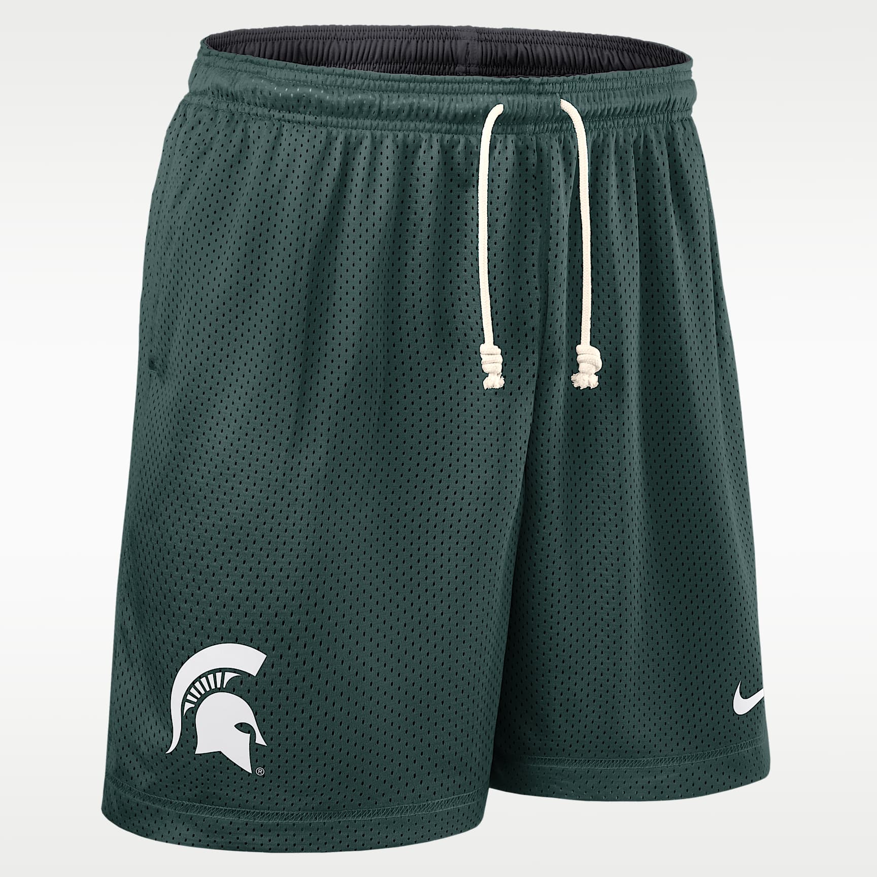 Michigan State Sideline Reversible Men's Nike Dri-FIT College